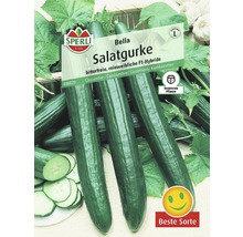 Salatgurke 'Bella' Sperli Gemüsesamen-thumb-0