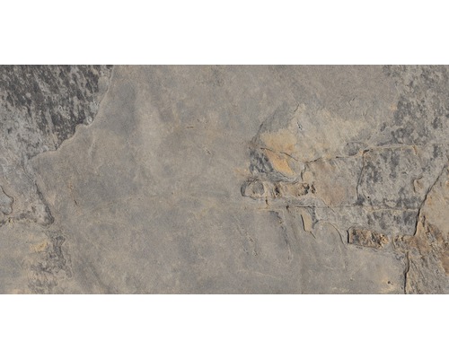 Feinsteinzeug Wand- und Bodenfliese Ardesia gris 32x62.5 cm