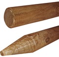 Holzpfahl gespitzt gefast, 5 x 150 cm, braun