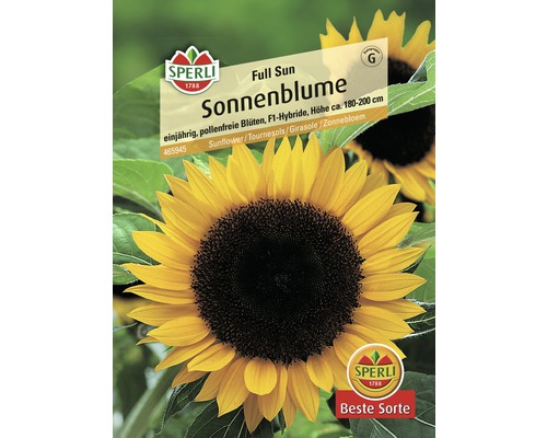 Sonnenblume 'Full Sun' Sperli Blumensamen