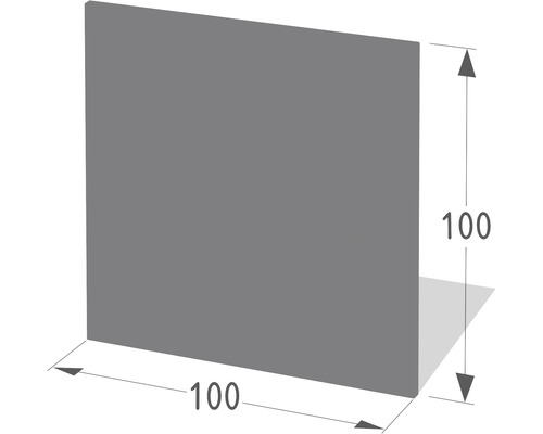 Funkenschutzplatte Lienbacher rechteckig 100x100 cm anthrazit