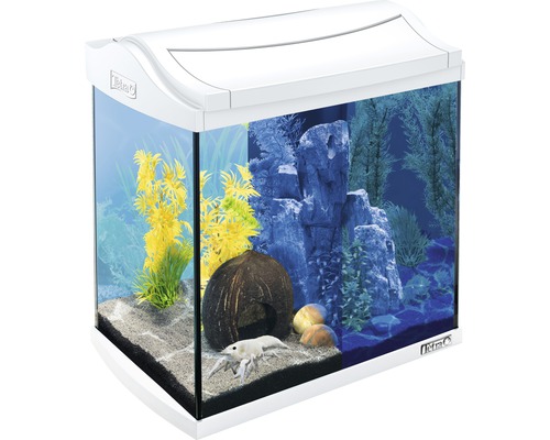 Aquarium Tetra AquaArt Discovery Line 30 l mit LED-Beleuchtung, Filter ohne Unterschrank weiß