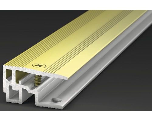 Abschlussprofil PS 400 Alu sahara 28x2700mm