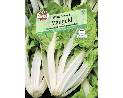 Mangold 'White Silver 2' Sperli Gemüsesamen