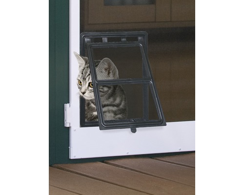 Katzen-Klappe für Insektenschutz-Türen PLUS/EXPERT schwarz 20x25 cm