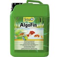 Algenvernichter Tetra AlgoFin 3 L