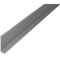 Sockelleiste Aluminium titan 11x40x2700 mm