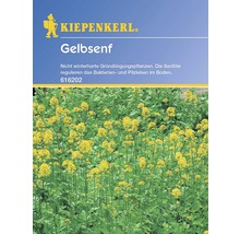 Gelbsenf Kiepenkerl 80 g-thumb-0