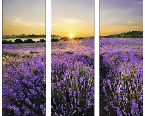 Glasbild Beautiful Lavendel 3er-Set 90x80 cm GLA919-0