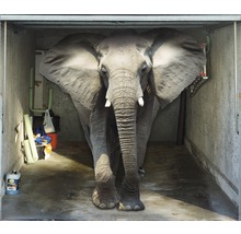 Garagentorplane Moving Elephant PVC Bedruckt 2450 x 2100 mm inkl. Befestigungsband-thumb-0