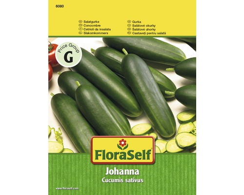 Salatgurke 'Johanna' FloraSelf samenfestes Saatgut Gemüsesamen