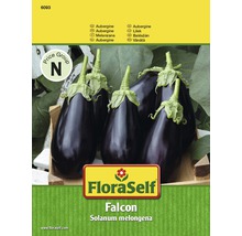 Aubergine 'Falcon' FloraSelf F1 Hybride Gemüsesamen-thumb-0