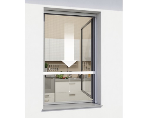 Insektenschutz-Rollo-Fenster PLUS weiß nach Maß (max. 160x160cm)
