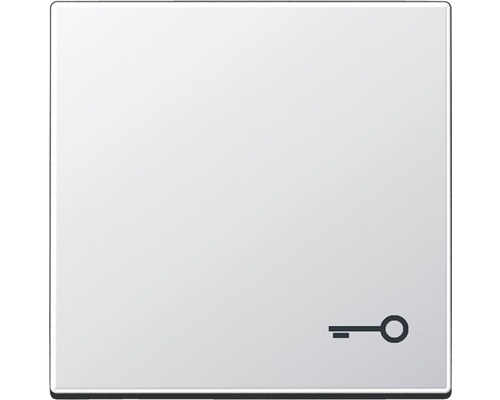 Wippe Symbol Schlüssel Jung A500 A Creation A590TAL aluminium