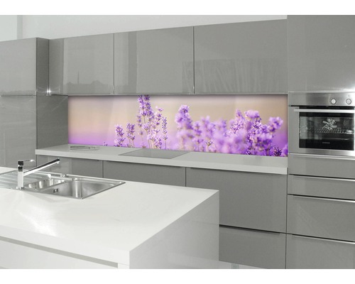 Küchenrückwand mySPOTTI profix Lavendelfeld 60x220 cm