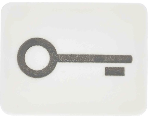 Tastersymbol Schlüssel Jung WG800/WG600 33TWW alpinweiß