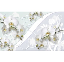 Fototapete 1206 VEXXL Vlies Weiße Orchidee Dekor 312 x 219 cm-thumb-0