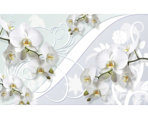 Fototapete 1206 VEXXL Vlies Weiße Orchidee Dekor 312 x 219 cm-0