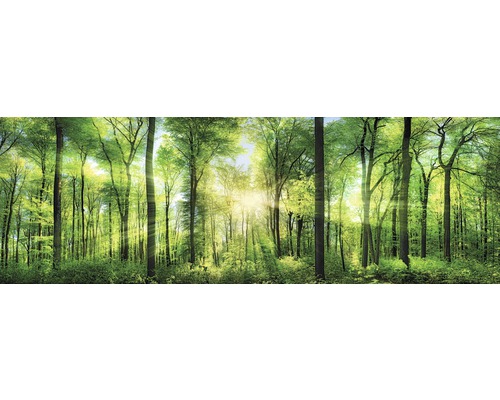 Leinwandbild Fresh Green 150x50 cm